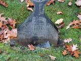 image of grave number 556466